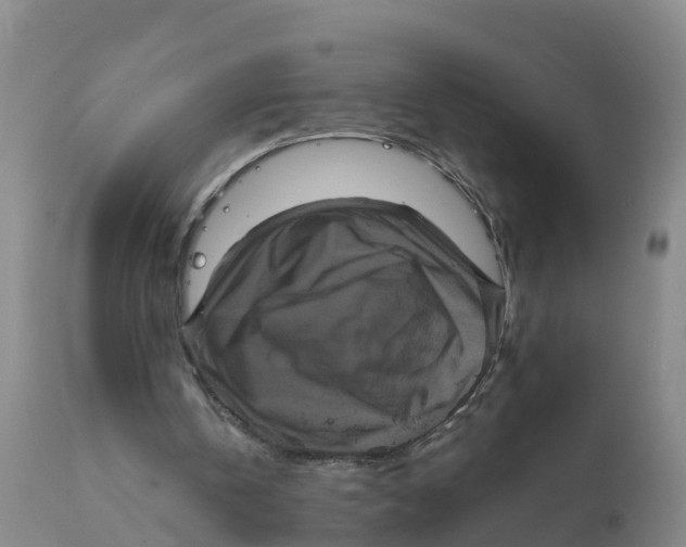 X0000111640146200908141415