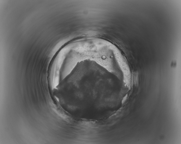 X0000111640147200908141415