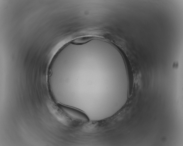 X0000111640148200908141416