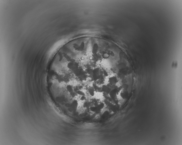 X0000111640149200908141416