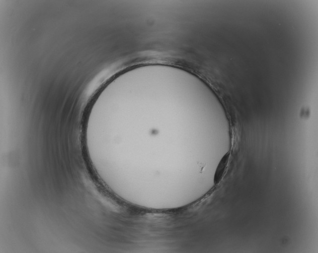 X0000111640150200908141416
