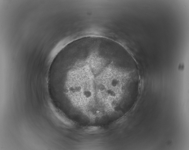 X0000111640151200908141416