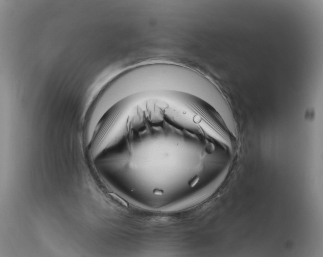 X0000111640152200908141416