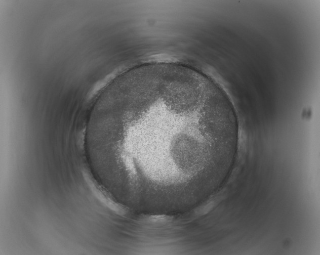 X0000111640153200908141416