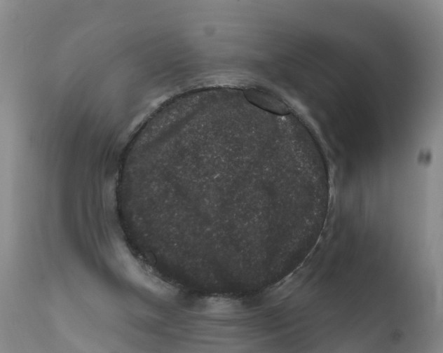 X0000111640154200908141416
