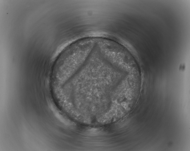 X0000111640155200908141416