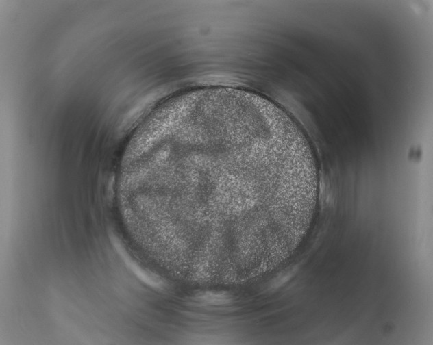 X0000111640157200908141416