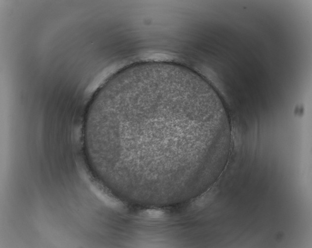 X0000111640159200908141416