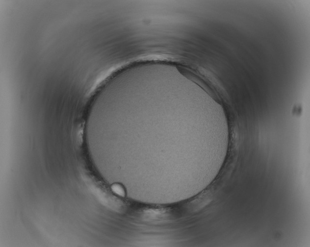 X0000111640160200908141416