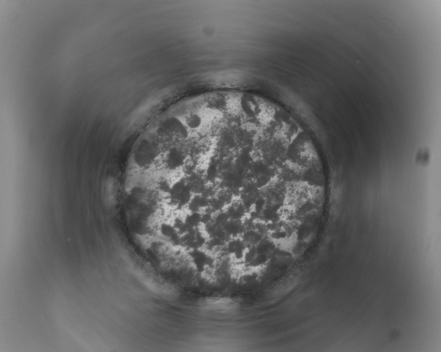 X0000111640161200908141416