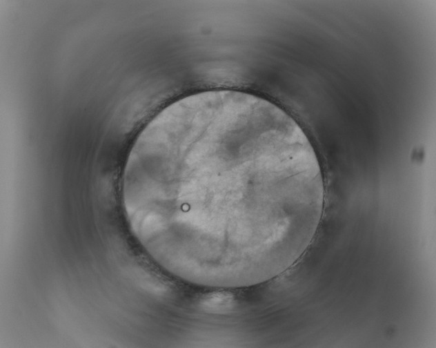 X0000111640162200908141416