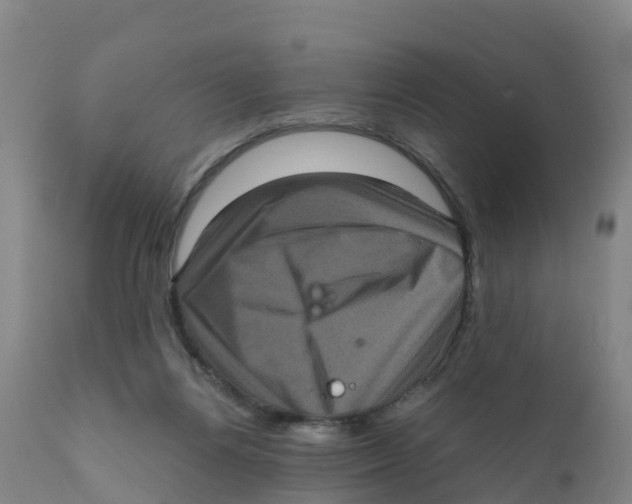 X0000111640164200908141416