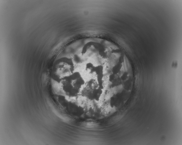 X0000111640165200908141416