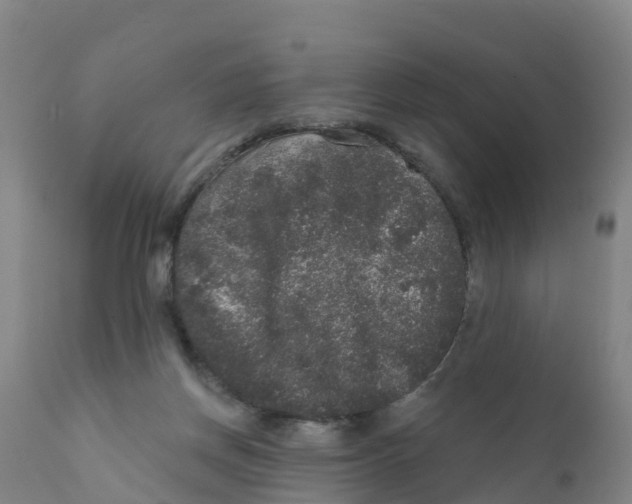 X0000111640166200908141416