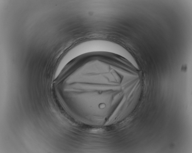 X0000111640168200908141416