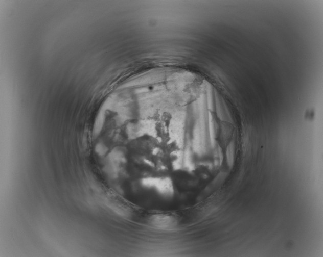 X0000111640169200908141416