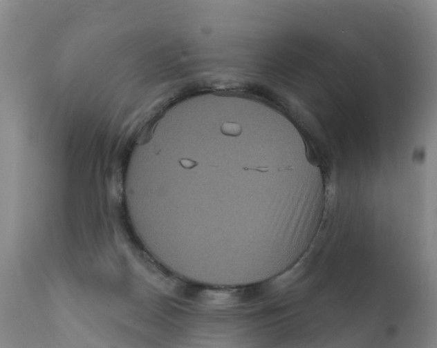 X0000111640170200908141416