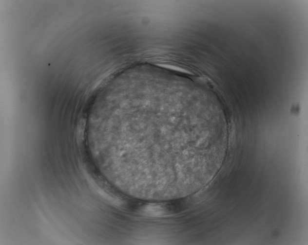 X0000111640171200908141416