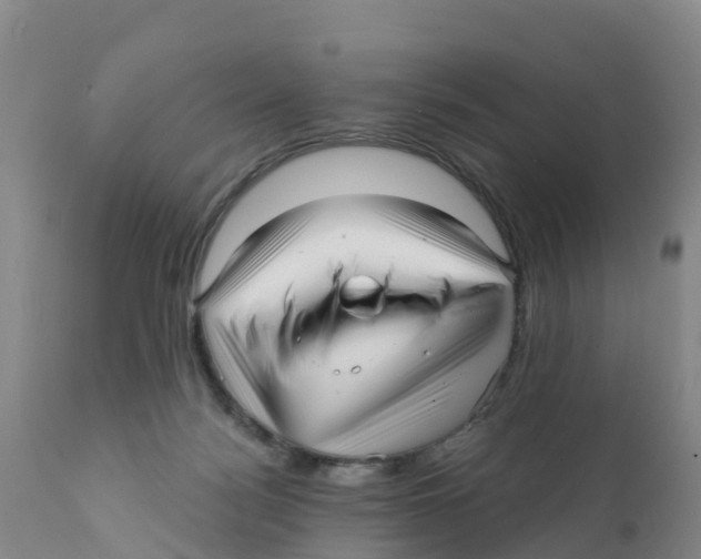 X0000111640172200908141416