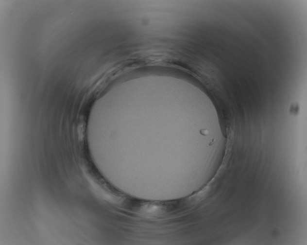 X0000111640174200908141416