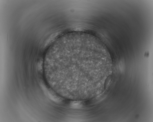 X0000111640175200908141416