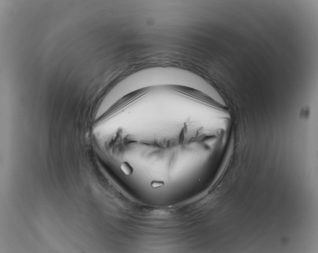 X0000111640176200908141416
