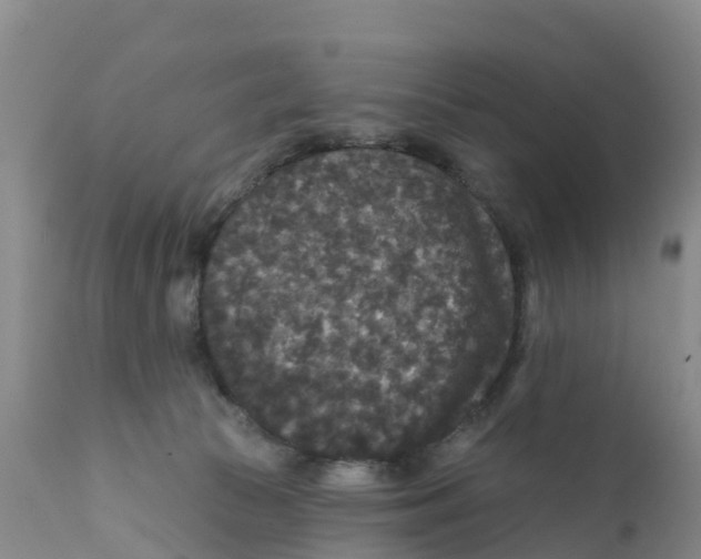 X0000111640177200908141416