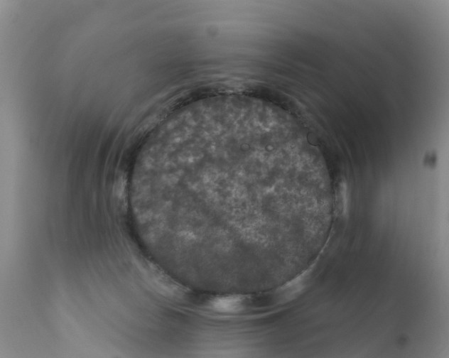 X0000111640178200908141416