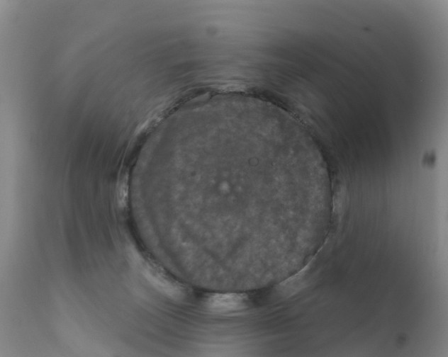 X0000111640179200908141416