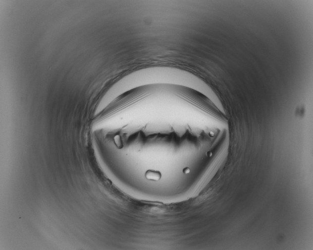 X0000111640180200908141416