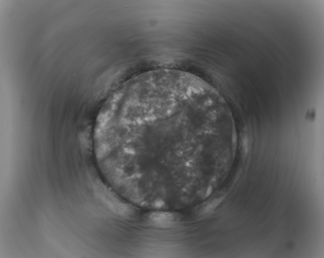 X0000111640181200908141416