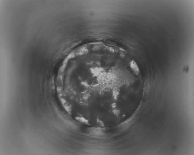 X0000111640182200908141416