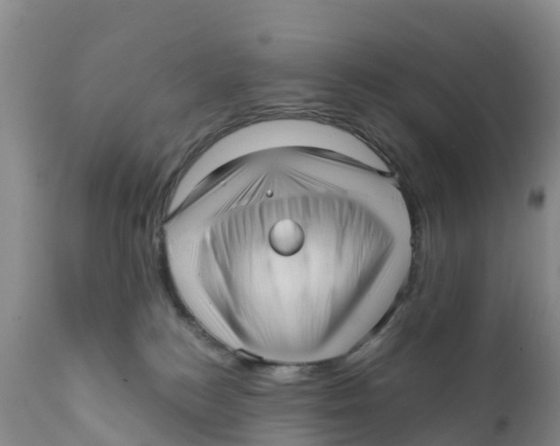 X0000111640184200908141416
