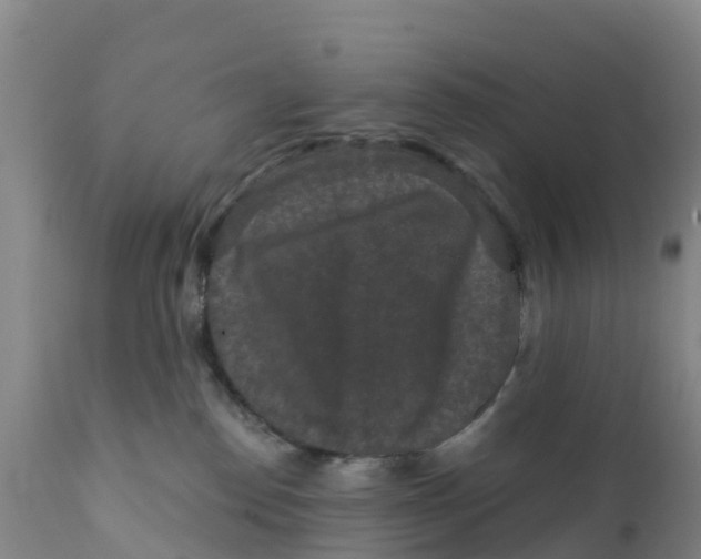 X0000111640186200908141416