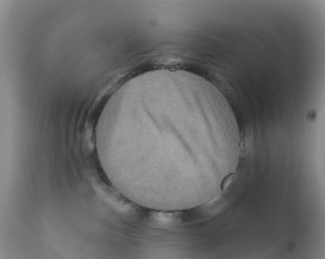 X0000111640187200908141416