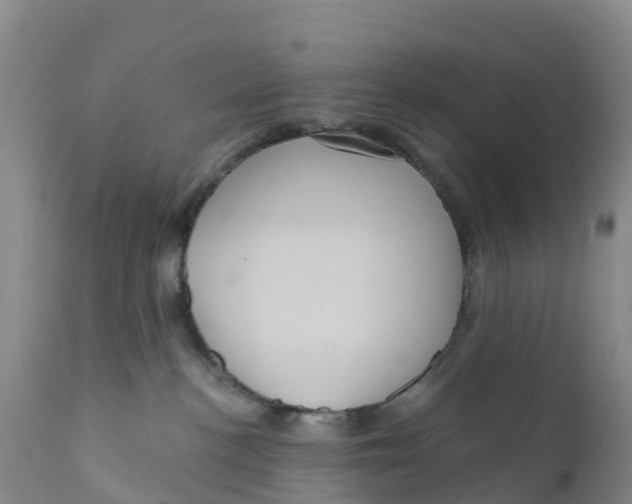X0000111640188200908141416