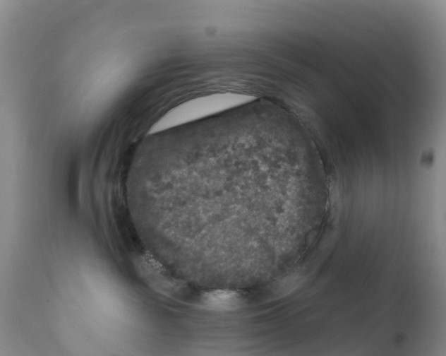 X0000111640189200908141416
