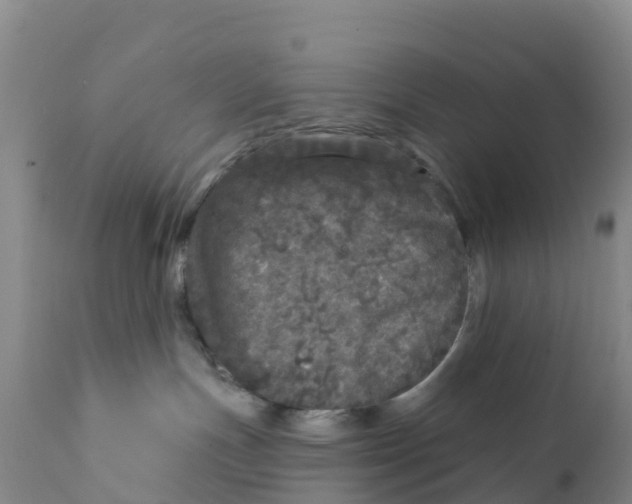 X0000111640191200908141416