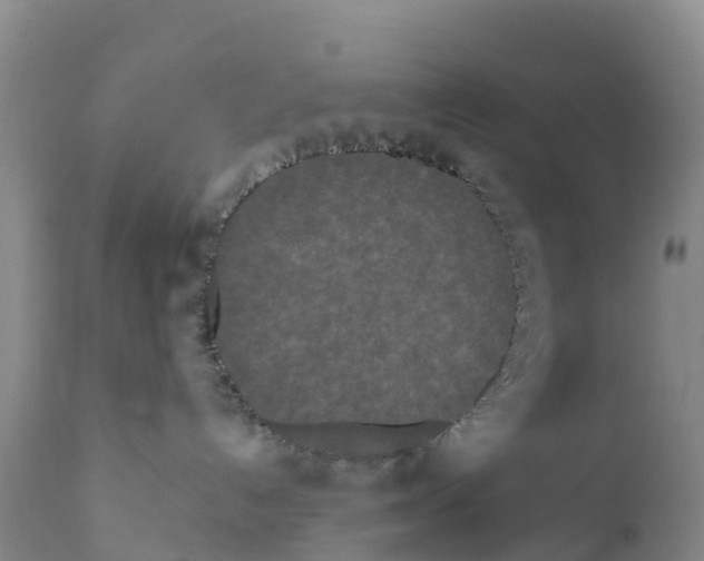 X0000111640192200908141416