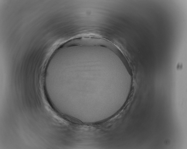 X0000111640193200908141415