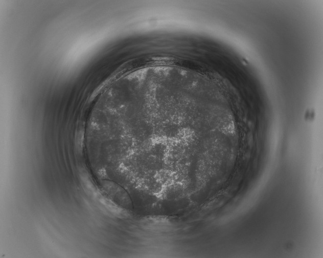 X0000111640194200908141415