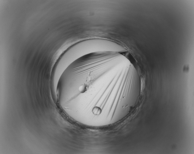 X0000111640195200908141415