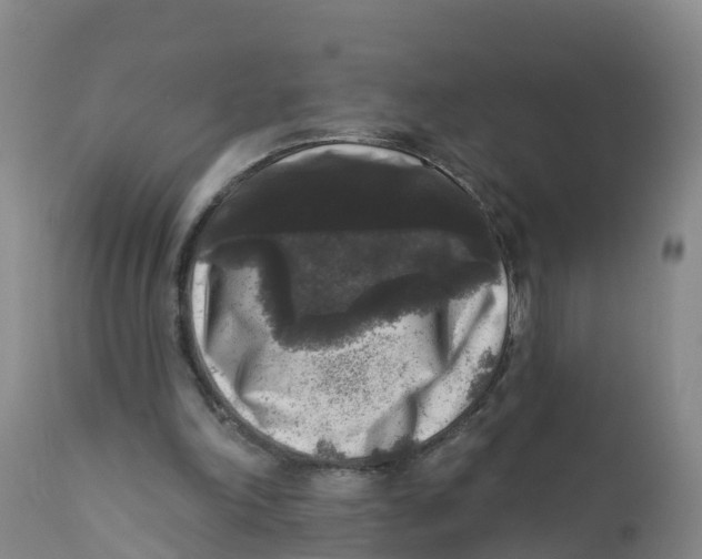 X0000111640198200908141415