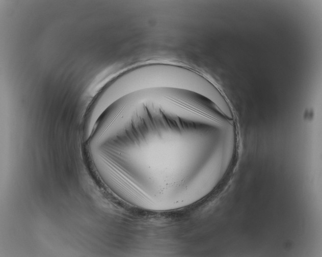X0000111640199200908141415