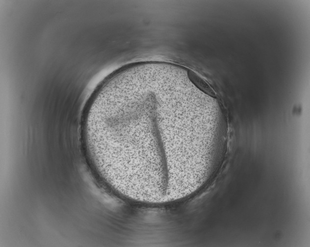 X0000111640200200908141415