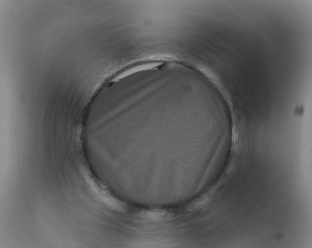 X0000111640201200908141415