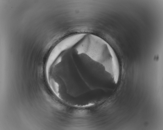 X0000111640202200908141415