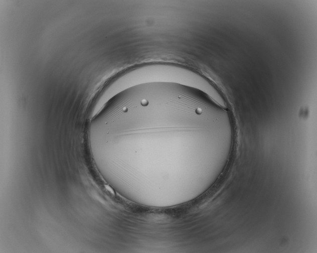 X0000111640203200908141415