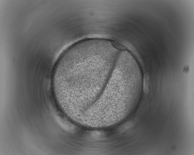 X0000111640204200908141415