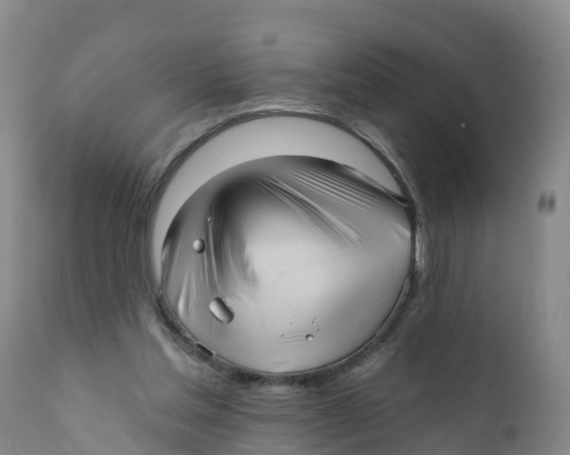 X0000111640205200908141415